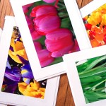 Holiday and Hearth: Spring Cards