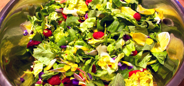 Holiday and Hearth Holiday & Hearth Lisa Anne Novelline craft blog Salad
