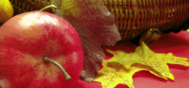 Autumn Equinox Scattered Leaves on Table Table setting for autumn equinox Holiday & Hearth Holiday and Hearth Lisa Novelline Lisa Anne Novelline author writer The Dance of Spring craft blog creative blog creativity decorator blog festival celebration summer seasons nature blog Mabon Autumn Equinox Harvest Season Season of the Witch September Thanksgiving tablecloth red apples cornucopia autumn lollipops maple sugar candy